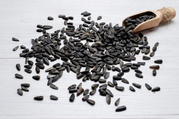 TRS Tukmaria Seeds - Image 2