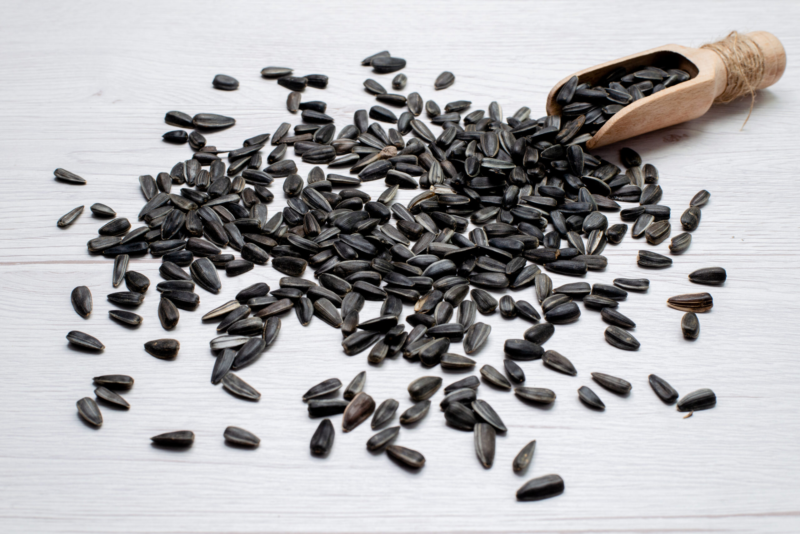 TRS Tukmaria Seeds - Image 2