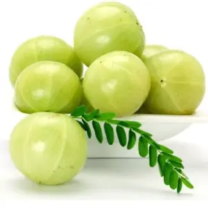 Indian gooseberry