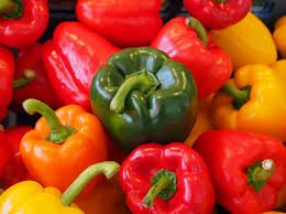 Capsicum