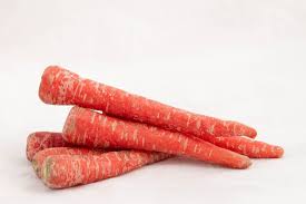 Indian Carrot