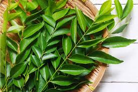 Curry Leaves