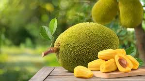 Jack Fruit