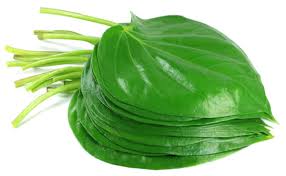 Paan leaves (betel leaves)