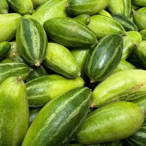 Pointed gourd, Parwal
