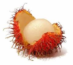 Rambutan basics