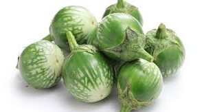 Thai aubergines (Thai eggplants)